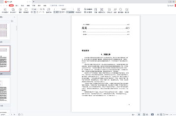 421页pdf在线阅读,揭秘421页PDF核心内容