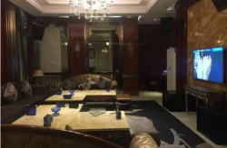 石家庄娱乐会所小姐,揭秘夜生活背后的故事