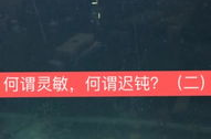 达奇钓鱼