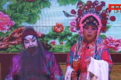 全场戏曲,豫剧、京剧、黄梅戏等经典剧目全场精彩呈现