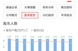 深康佳a股票,揭秘家电巨头股票背后的故事与未来展望