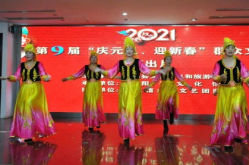 大阪城的姑娘舞蹈,民族风情与舞蹈艺术的完美融合