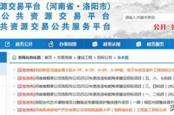 洛阳招标,聚焦重点领域，助力城市发展